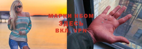 мет Алексин