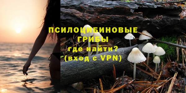 молекула духа Алзамай