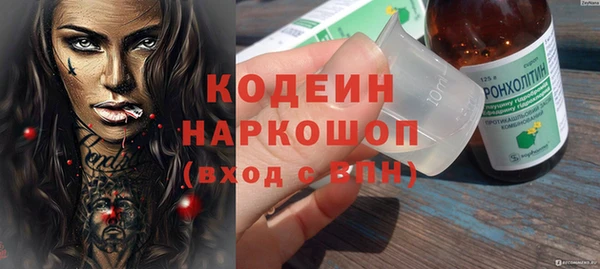 молекула духа Алзамай