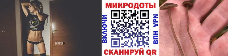 Галлюциногенные грибы Cubensis  закладки  Алапаевск 